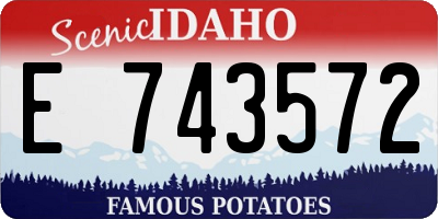 ID license plate E743572