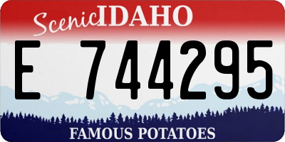ID license plate E744295