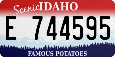 ID license plate E744595