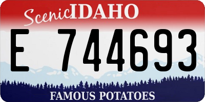 ID license plate E744693