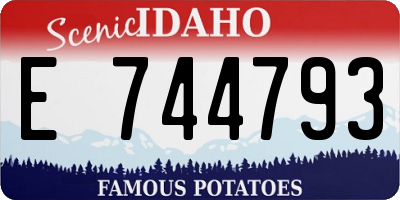 ID license plate E744793