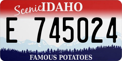 ID license plate E745024