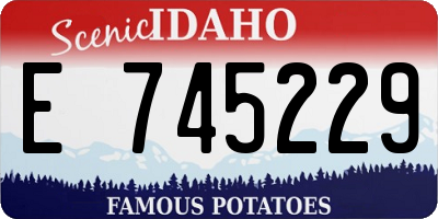 ID license plate E745229