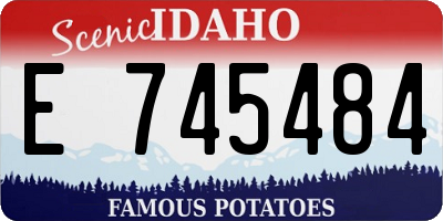 ID license plate E745484
