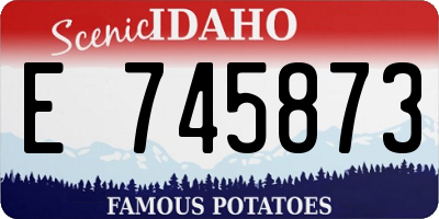 ID license plate E745873
