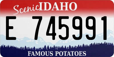 ID license plate E745991