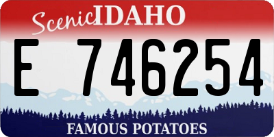 ID license plate E746254