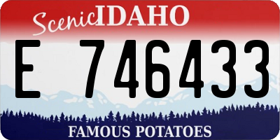 ID license plate E746433