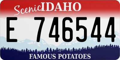 ID license plate E746544