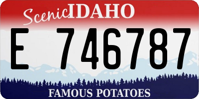 ID license plate E746787