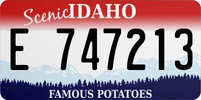 ID license plate E747213