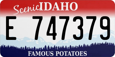 ID license plate E747379