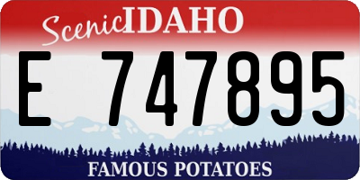 ID license plate E747895