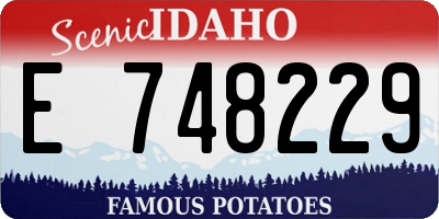 ID license plate E748229