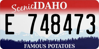 ID license plate E748473