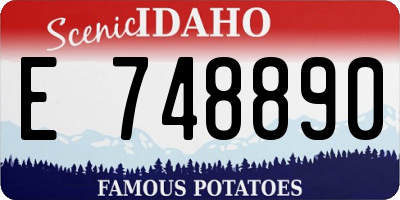 ID license plate E748890
