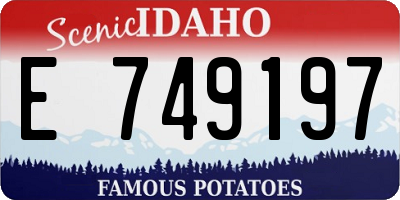 ID license plate E749197