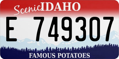 ID license plate E749307