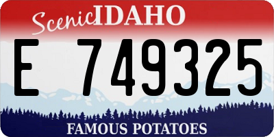 ID license plate E749325