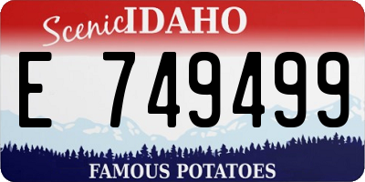 ID license plate E749499