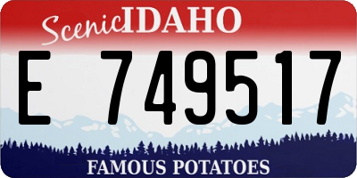 ID license plate E749517