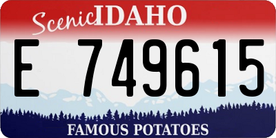 ID license plate E749615
