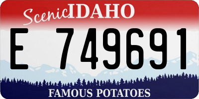 ID license plate E749691