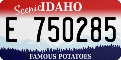 ID license plate E750285
