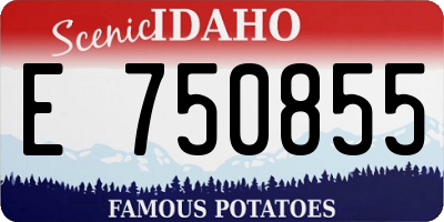 ID license plate E750855