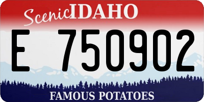 ID license plate E750902