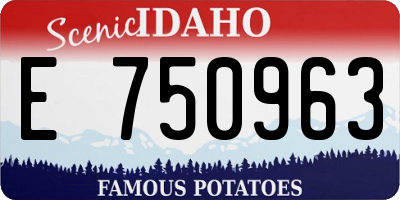 ID license plate E750963