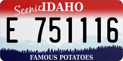 ID license plate E751116