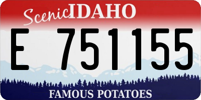 ID license plate E751155