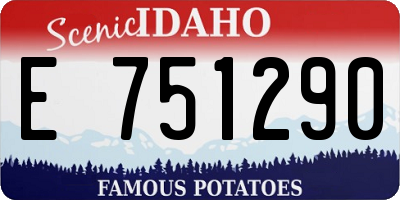 ID license plate E751290