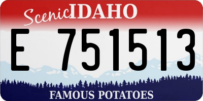 ID license plate E751513