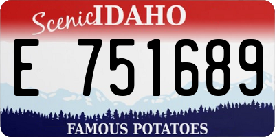 ID license plate E751689