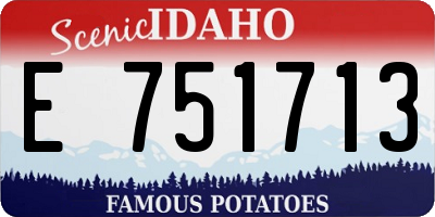 ID license plate E751713