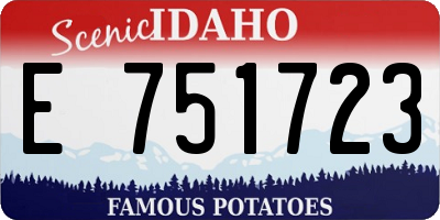 ID license plate E751723