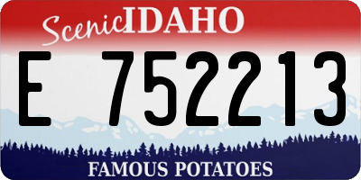 ID license plate E752213