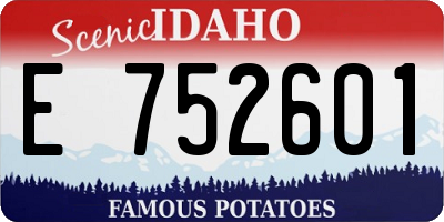 ID license plate E752601
