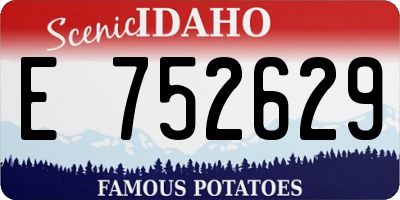 ID license plate E752629
