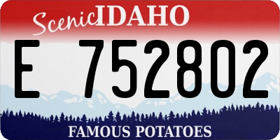ID license plate E752802