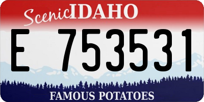 ID license plate E753531