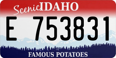 ID license plate E753831