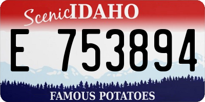 ID license plate E753894