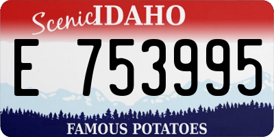 ID license plate E753995