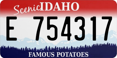 ID license plate E754317
