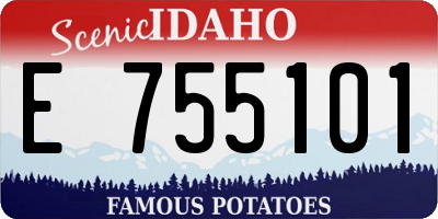 ID license plate E755101