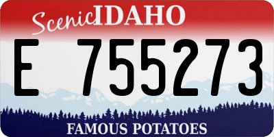 ID license plate E755273