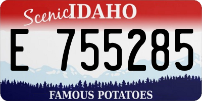 ID license plate E755285